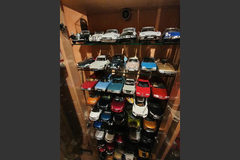 Meine Vitrine Image 11