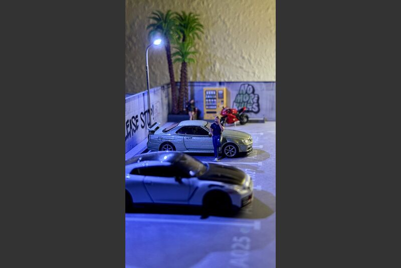 Diverse Präsentationen/Dioramen Image 6